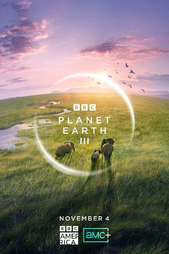 BBC: Планета Земля III сериал 2023 смотреть онлайн бесплатно в хорошем качестве HD